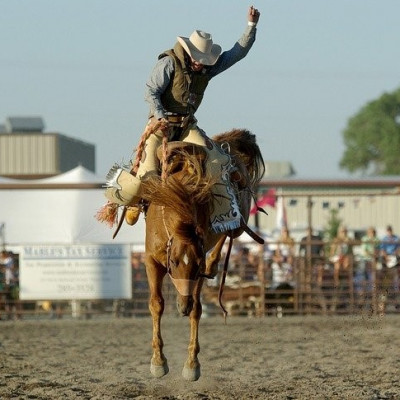 TRIBUNAL BARRA LEI QUE PERMITIA RODEIOS EM ANDRADINA